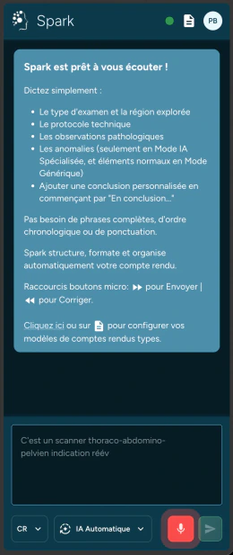 Spark pendant la dictée, dans le panneau de l'extension