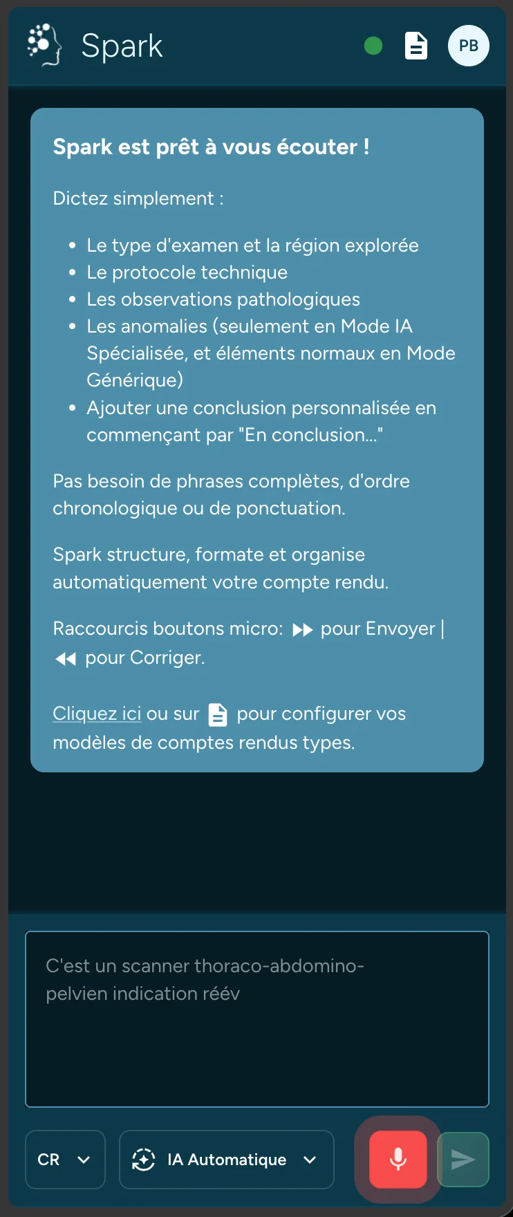 Spark pendant la dictée, dans le panneau de l'extension